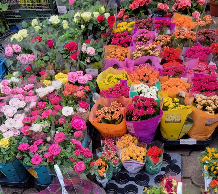 A vibrant display of floral arrangements at a flower market, featuring a variety of fresh flowers including pink and white roses, and colorful bouquets of chrysanthemums and other seasonal blooms wrap
