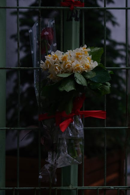 A single bouquet of pale yellow flowers with ruffled petals, wrapped in clear cellophane and tied with a red ribbon, is hanging on a green metal fence. The bouquet includes lush green leaves and is po